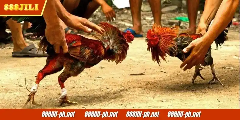 Piliin ang tamang oras para maglaro sa 888jili